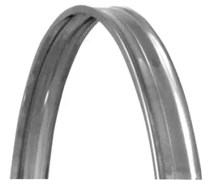 BD hoop - Metal CHROME 22 in 1 5/8 in wide
