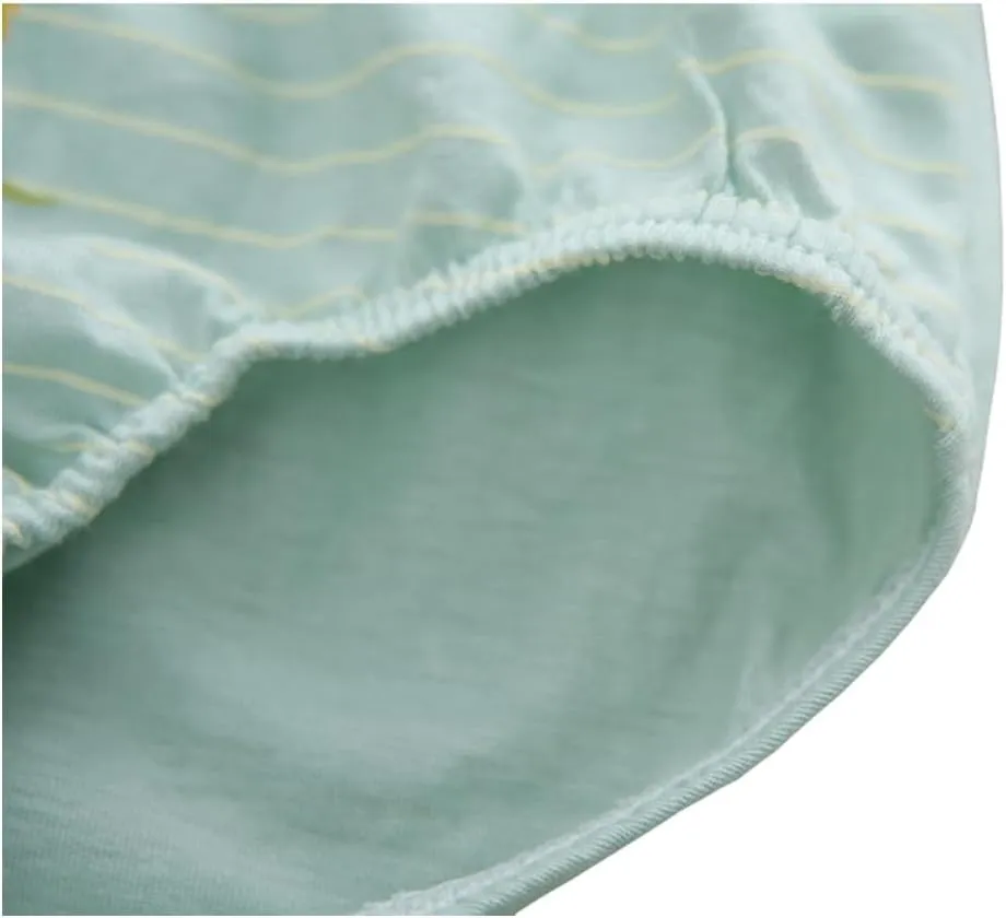 CHUNG Toddlers Little Boys 2-9Y Cotton Briefs Underwear Pack of 5/6 Car Dinosaur