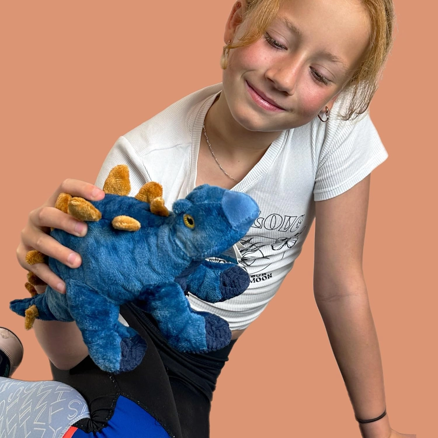 Deluxe Paws 100% Recycled Plush Eco Toys (Stegosaurus)