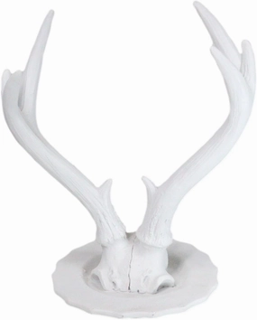 Ebros Gift Contemporary Chic Rustic Off White Double Buck Elk Deer Stag Antlers Jewelry Tree Holder With Hooks Stand Figurine For Accessories Rings Necklaces