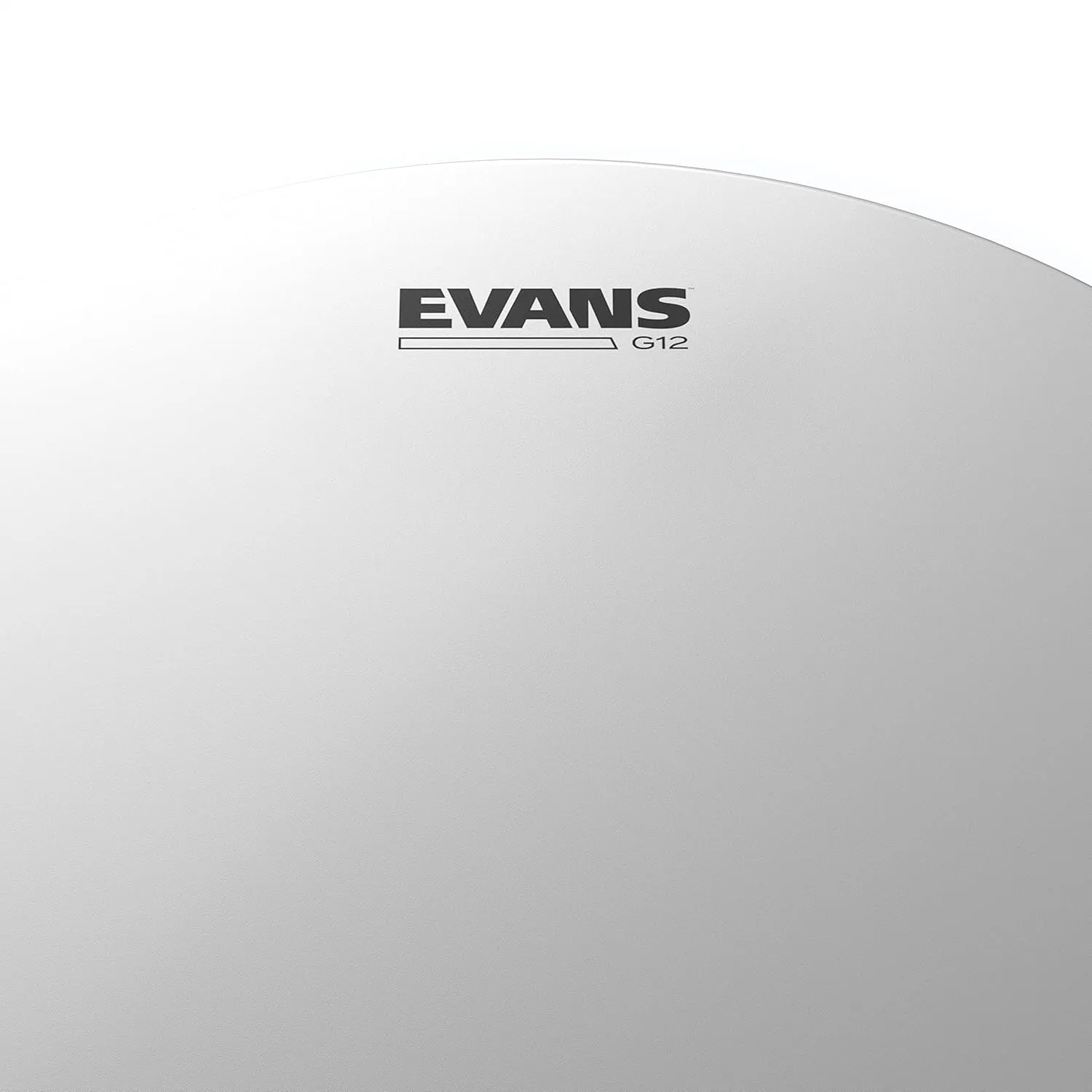 Evans Drum Heads - G12 Coated Tom Drumhead, 14 Inch