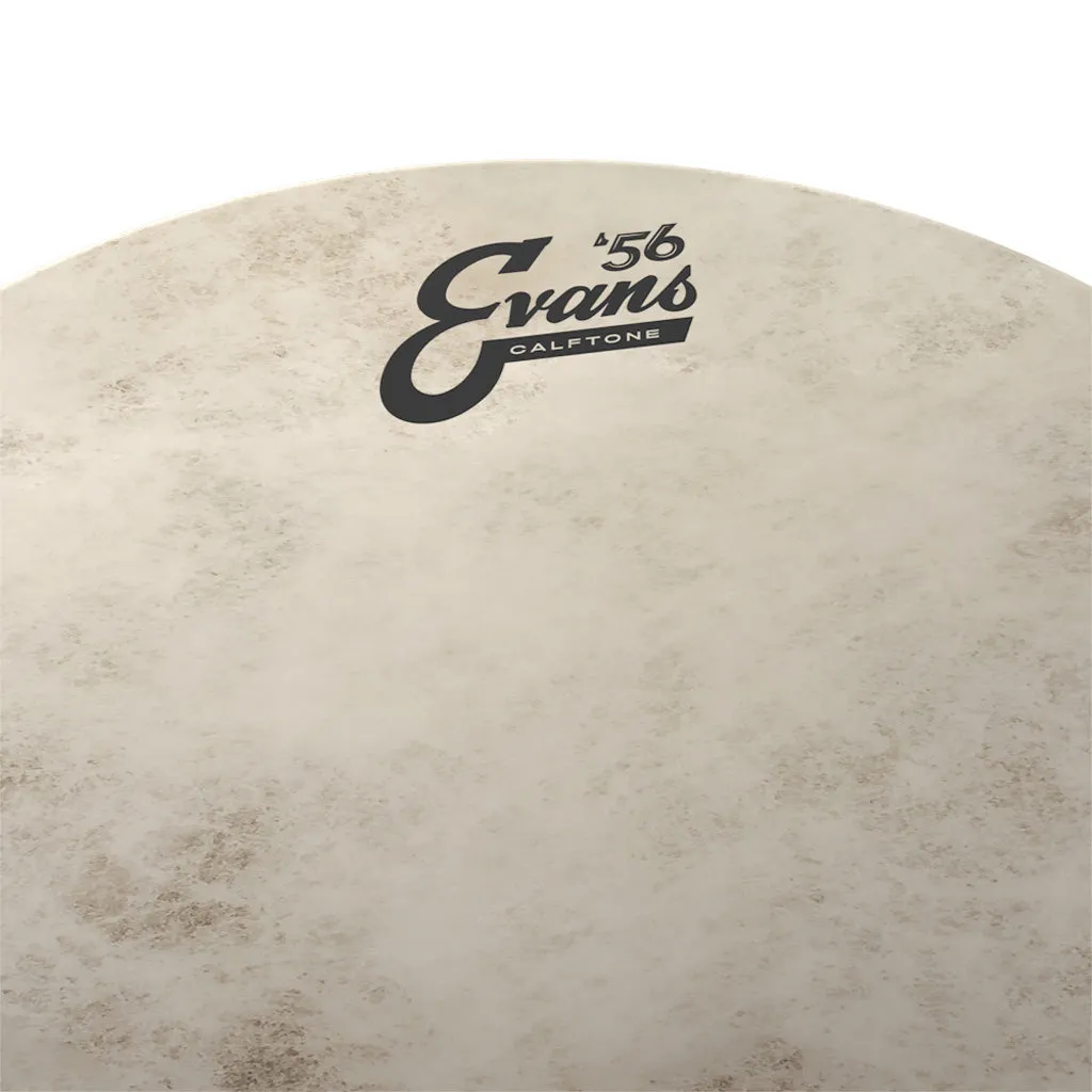 Evans TT14C7 14inch Calftone - Tom
