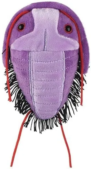 GIANT MICROBES Fuzzy Fossils Trilobite Plush - Learn About Fossils and Prehistoric Creatures, Unique Gift for Family, Friends, Scientists, Nature Lovers and Dinosaur Fans