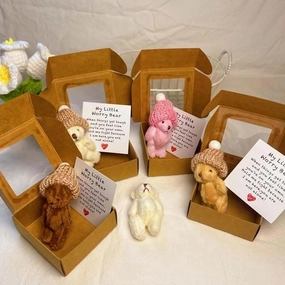 Handmade Mini Plush Teddy Bear in Box, Little Bear in A Box, My Little Worry Bears, Mini Pocket Bears Hug Plush with Emotional Uplifting Support Card, Soft Handmade Teddy Keepsake for Lovers(4pcs)