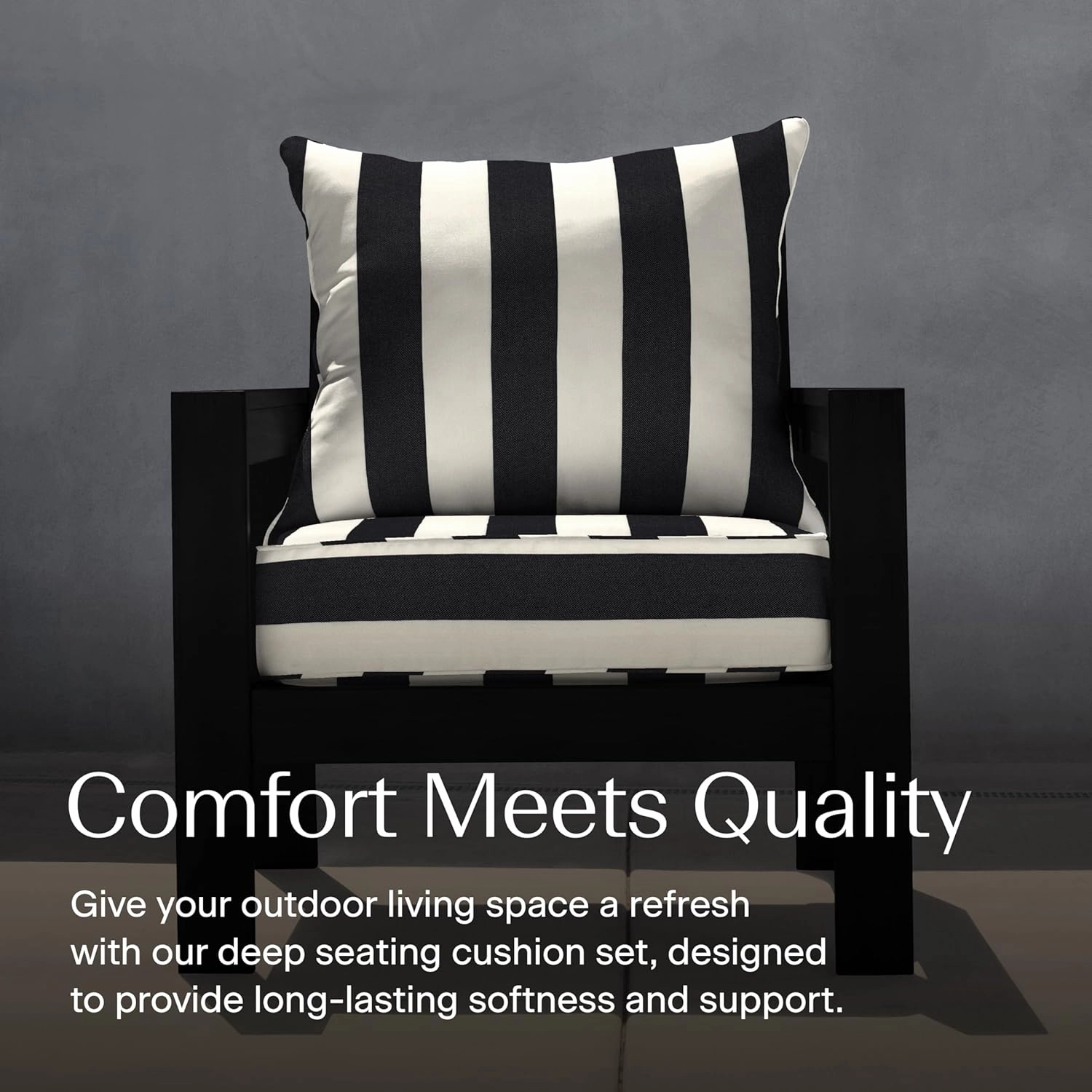 Honeycomb Outdoor Deep Seat, 24" W x 23" D, Cabana Stripe Black & Ivory Outdoor Chair Cushion