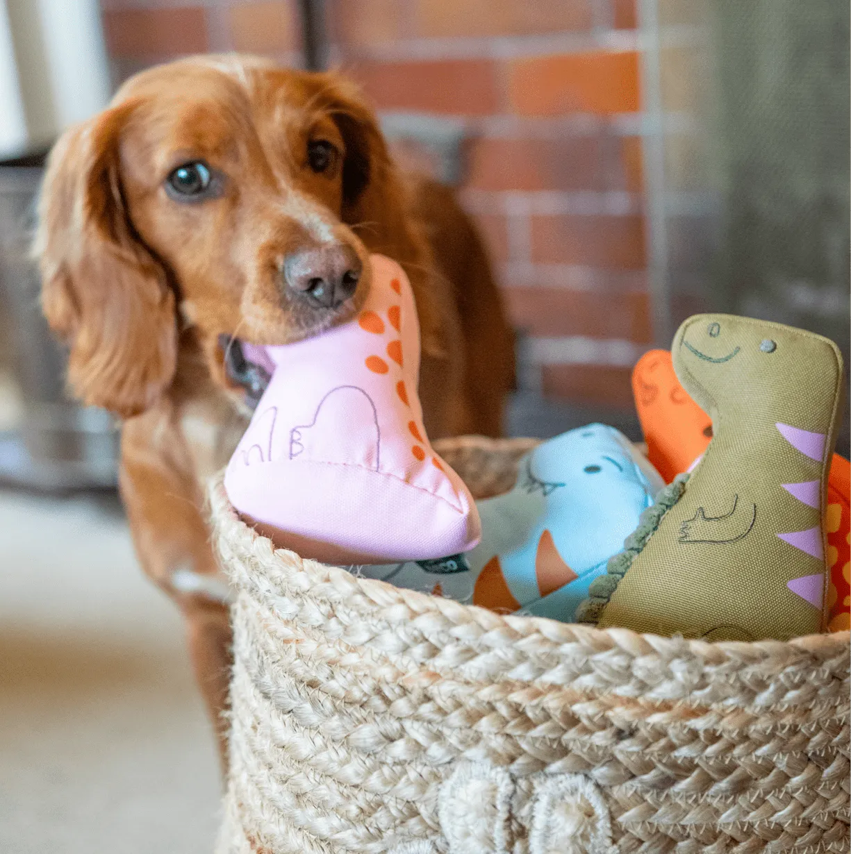 Iguanadon Dinosaur Dog Toy