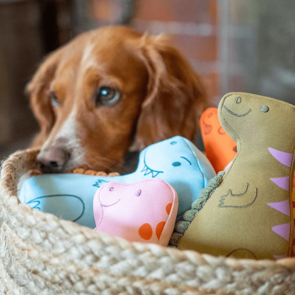 Iguanadon Dinosaur Dog Toy
