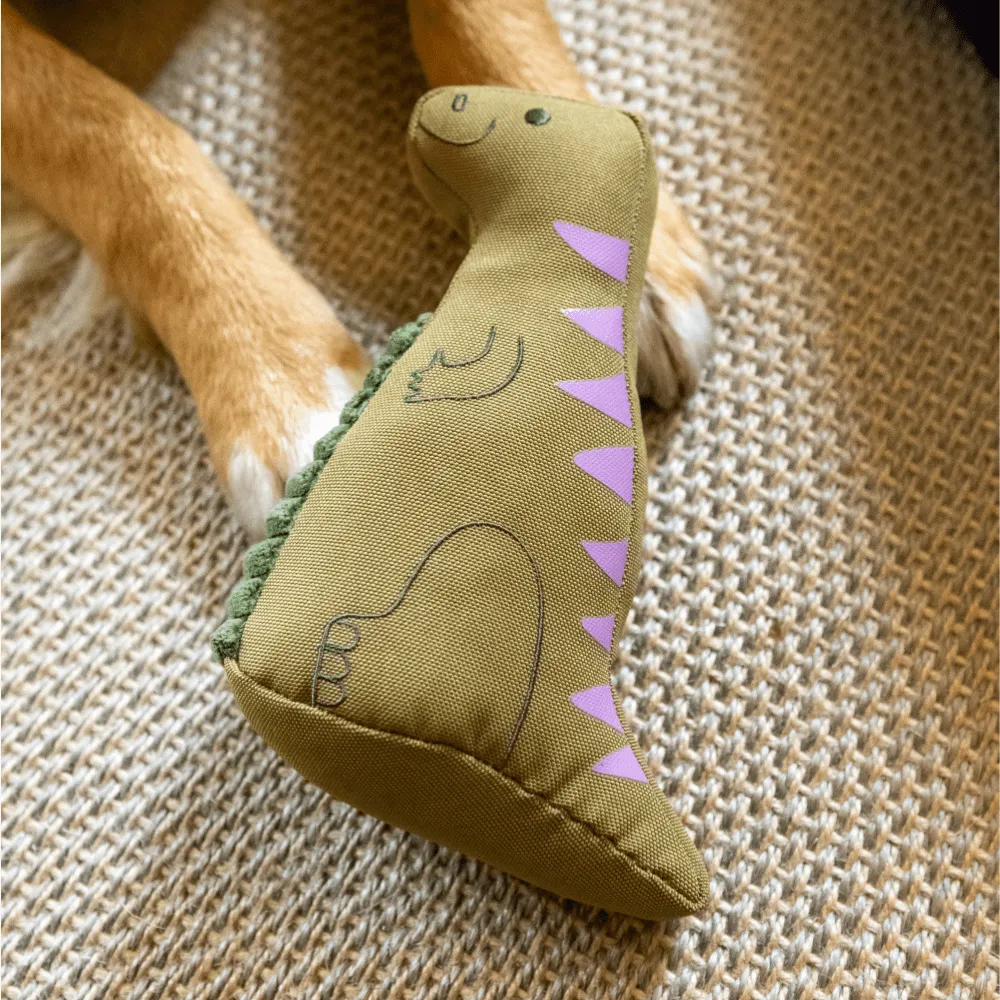 Iguanadon Dinosaur Dog Toy