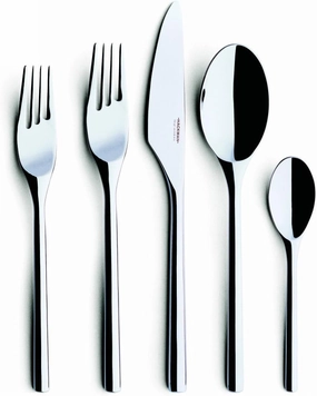 Iittala Artik 5-Piece Place Setting, Service for 1