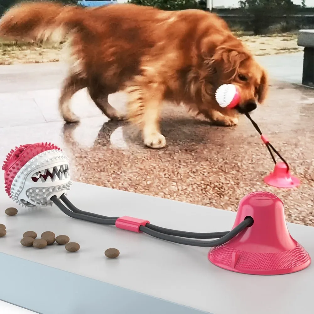 Interactive Dog Toy
