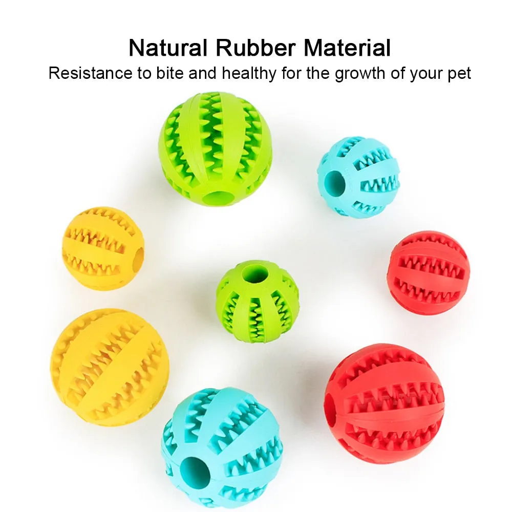 Interactive Rubber Food Ball