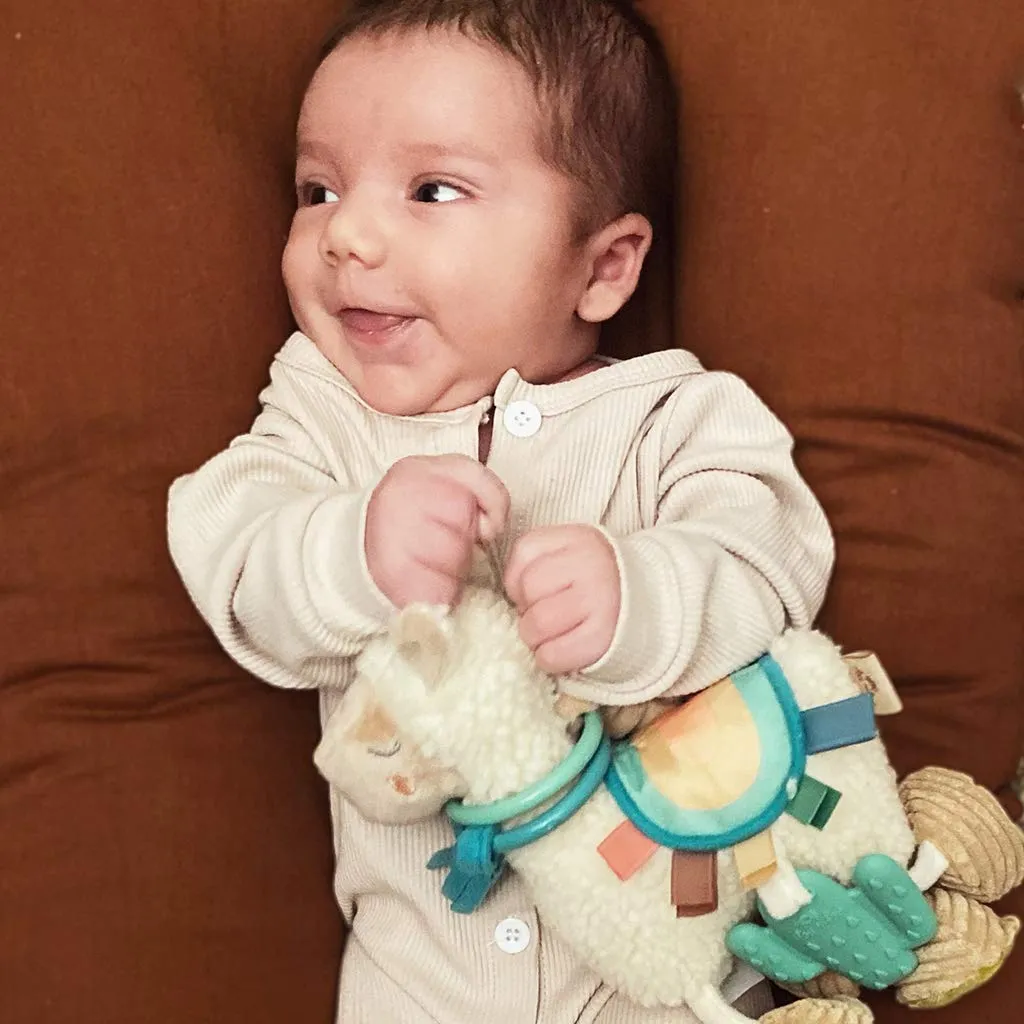 Itzy Ritzy - Itzy Lovey Including Teether, Textured Ribbons & Dangle Arms; Features & Link & Love Toy for Stroller or Car Seat; Features Textured Ribbons, Crinkle Sounds, Clinking Rings