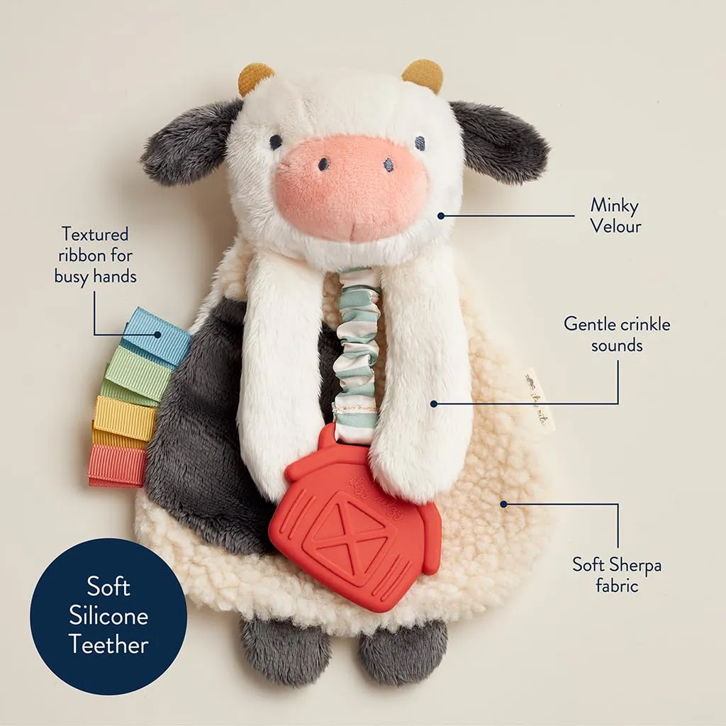 Itzy Ritzy - Itzy Lovey Including Teether, Textured Ribbons & Dangle Arms; Features & Link & Love Toy for Stroller or Car Seat; Features Textured Ribbons, Crinkle Sounds, Clinking Rings