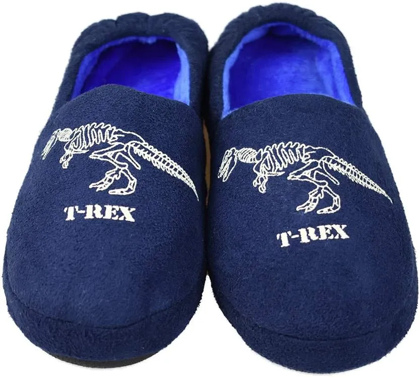 Kids Big Boys Warm Slippers with Soft Memory Foam Indoor Anti-Slip Cute Dinosaur Slippers