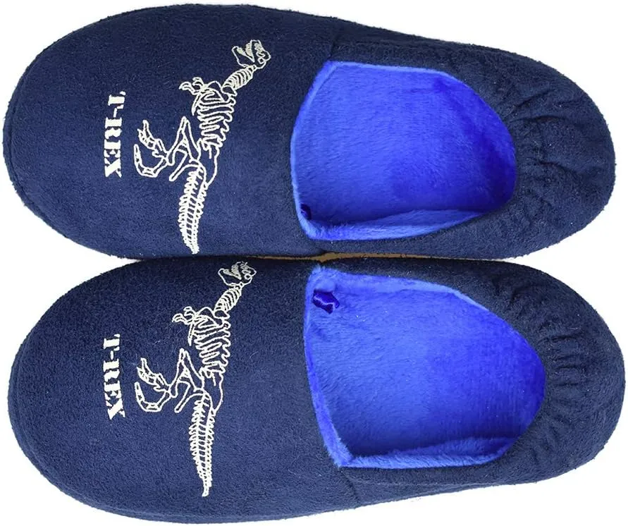Kids Big Boys Warm Slippers with Soft Memory Foam Indoor Anti-Slip Cute Dinosaur Slippers