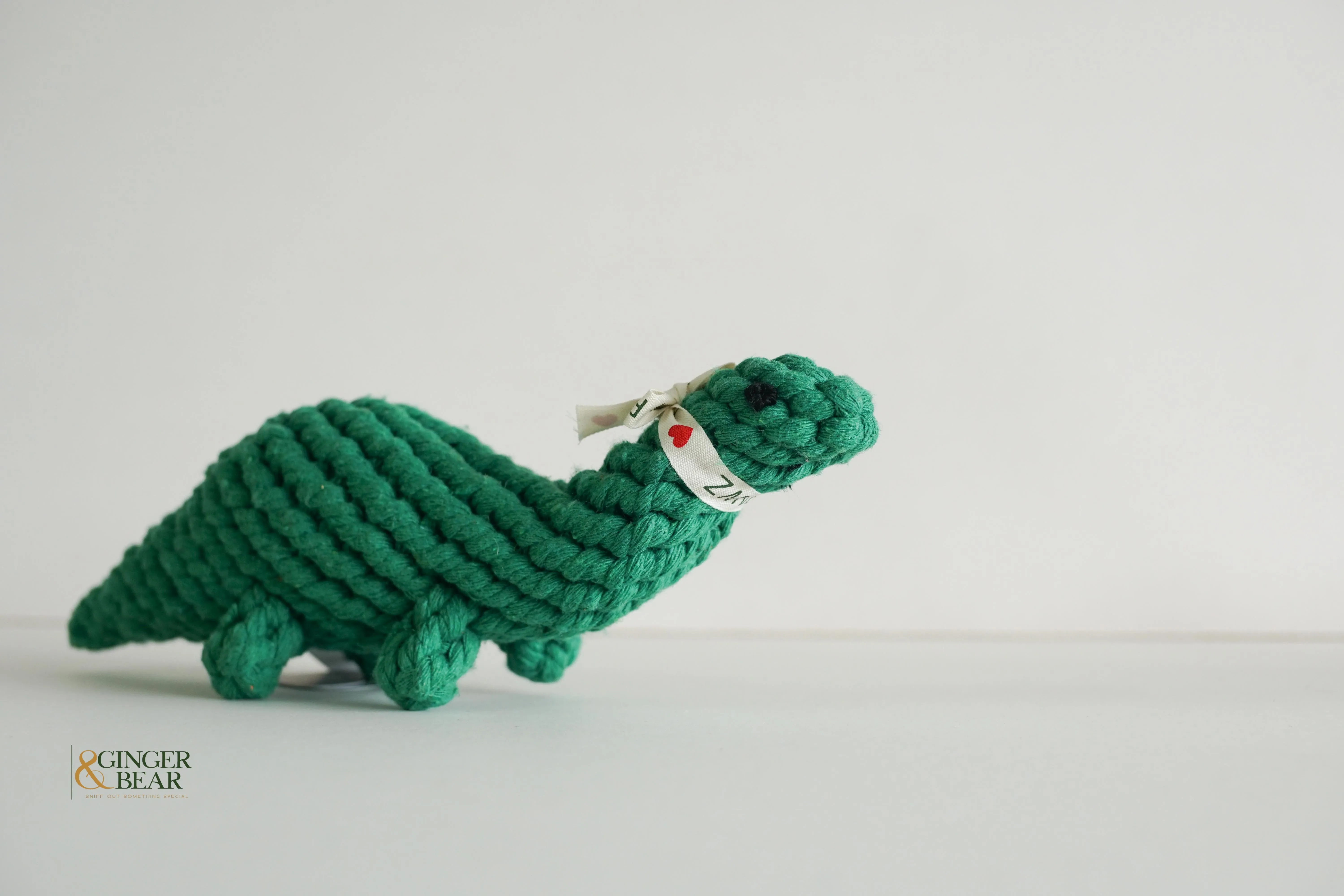 Knotty Interactive Upcycled Cotton Rope Dog Toy, Rex the Green Dinosaur