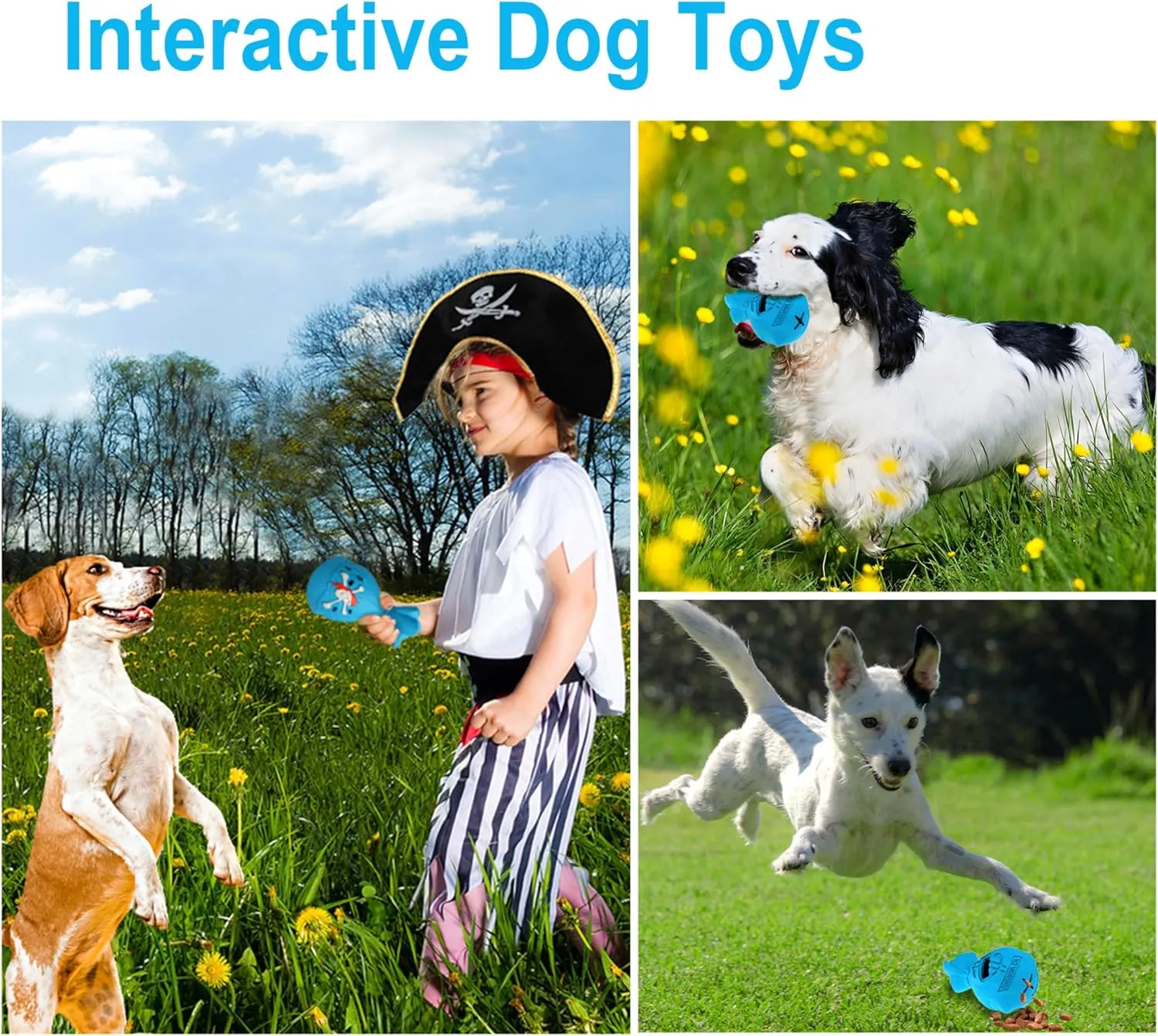 LapDog New Pirate Loot Bag Interactive Dog Toys, Fun Puzzle Toys for Small, Medium, Large Dogs, Dog Chew Toys for Teething, Training, Dog Enrichment Toys (Loot Bag, Large), Black/Blue