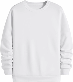 MakeMeChic Men's Casual Crewneck Cartoon Dinosaur Graphic Pullover Sweatshirt