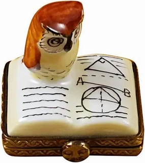 Mini Owl On Book Limoges Box