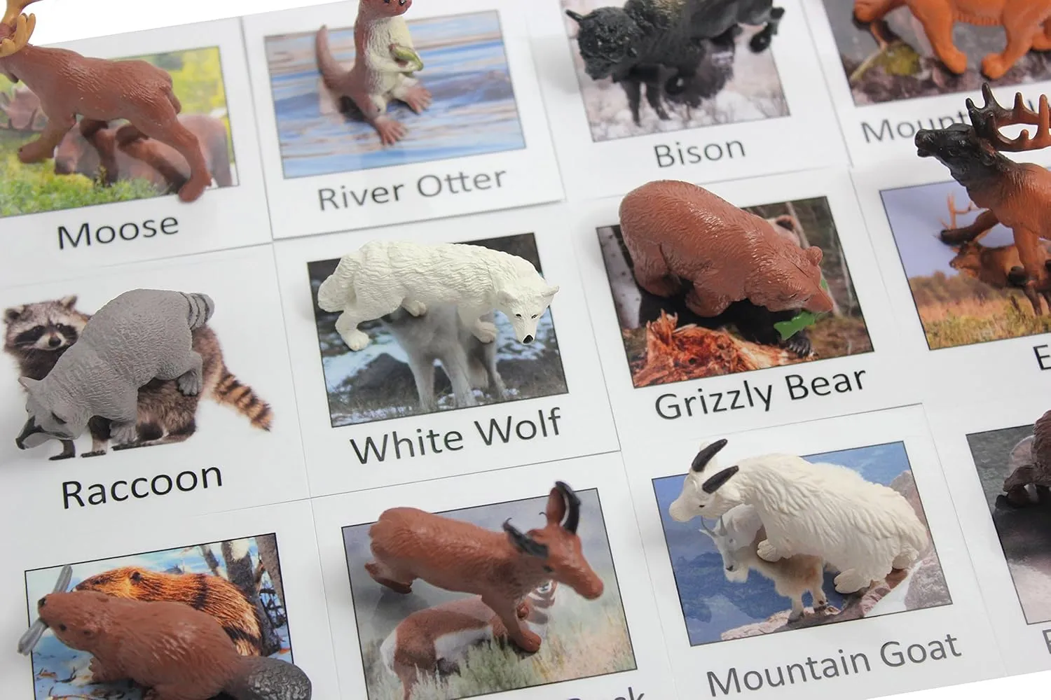 Montessori Animal Match - Miniature North American Wildlife Animal Toy Figurines with Matching Cards - 2 Part Cards. Montessori Learning Toy, Language Materials Busy Bag Activity