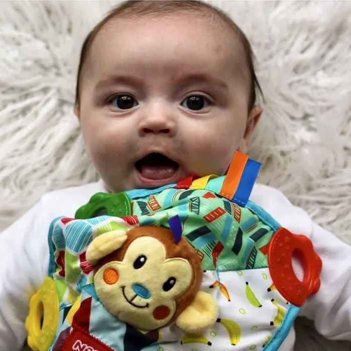 Nuby Teething Animal Toy & Blankie