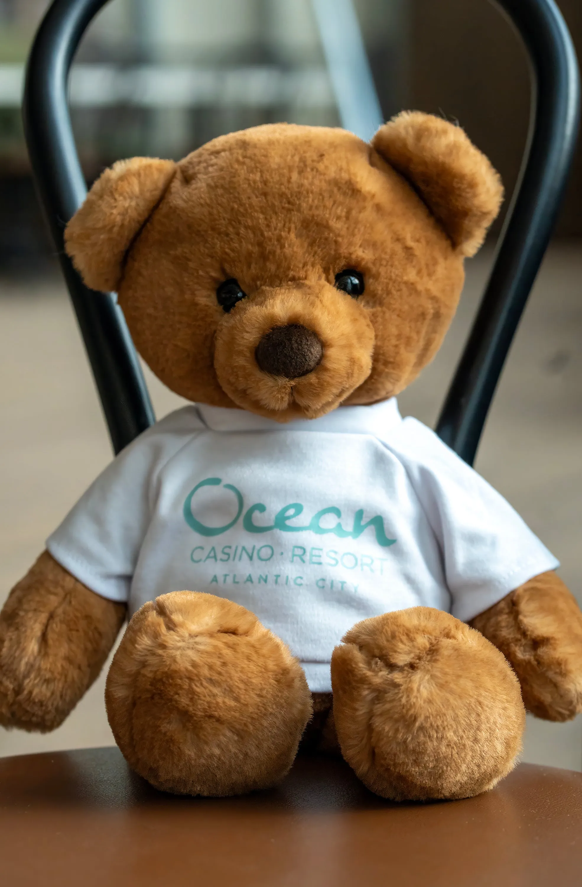 Ocean Teddy Bear