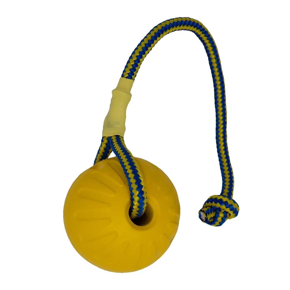 Pet Toys Dog Teething Training Toy Round Pull Ring Chew Ball Durable Play