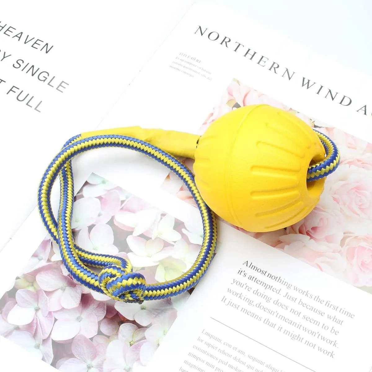 Pet Toys Dog Teething Training Toy Round Pull Ring Chew Ball Durable Play