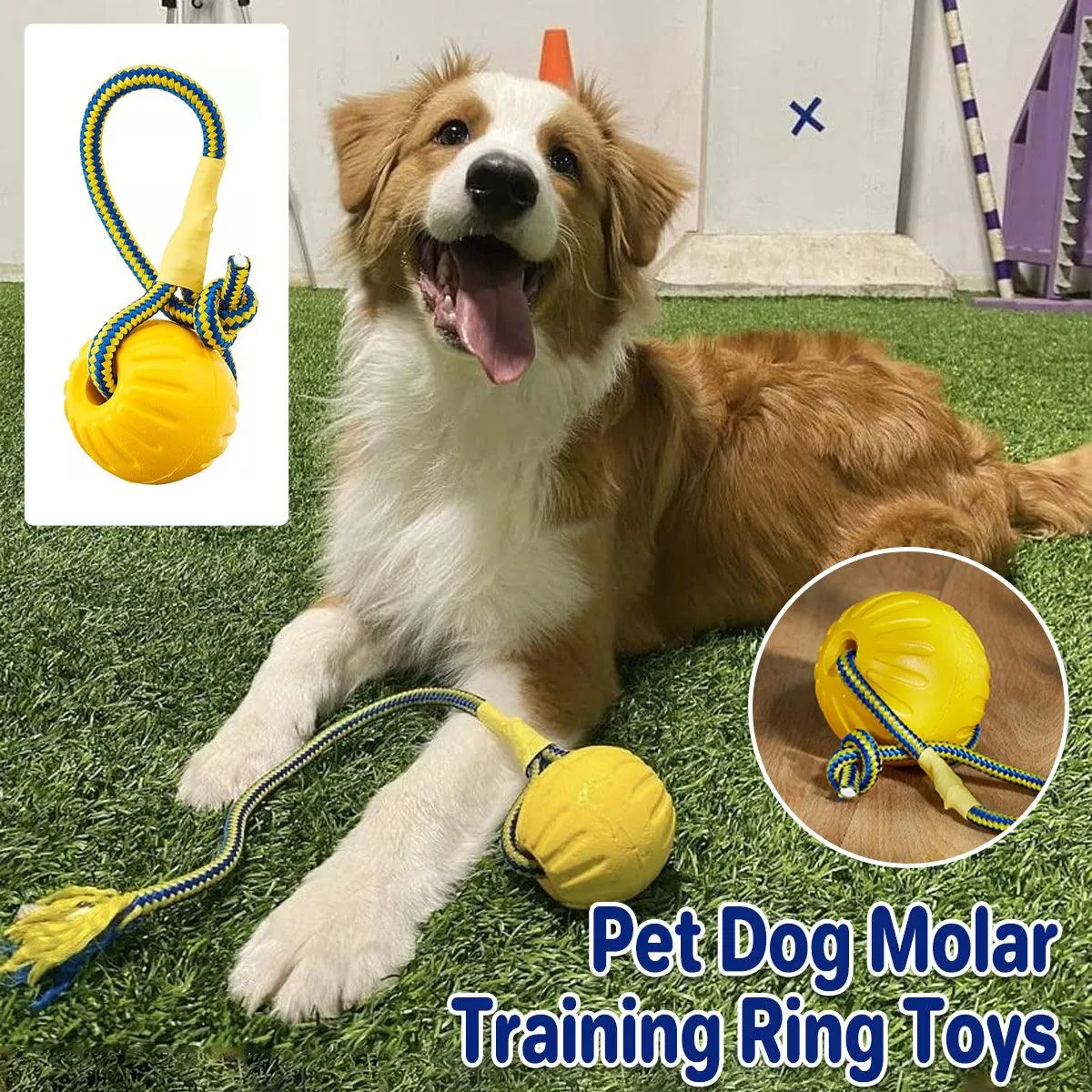 Pet Toys Dog Teething Training Toy Round Pull Ring Chew Ball Durable Play