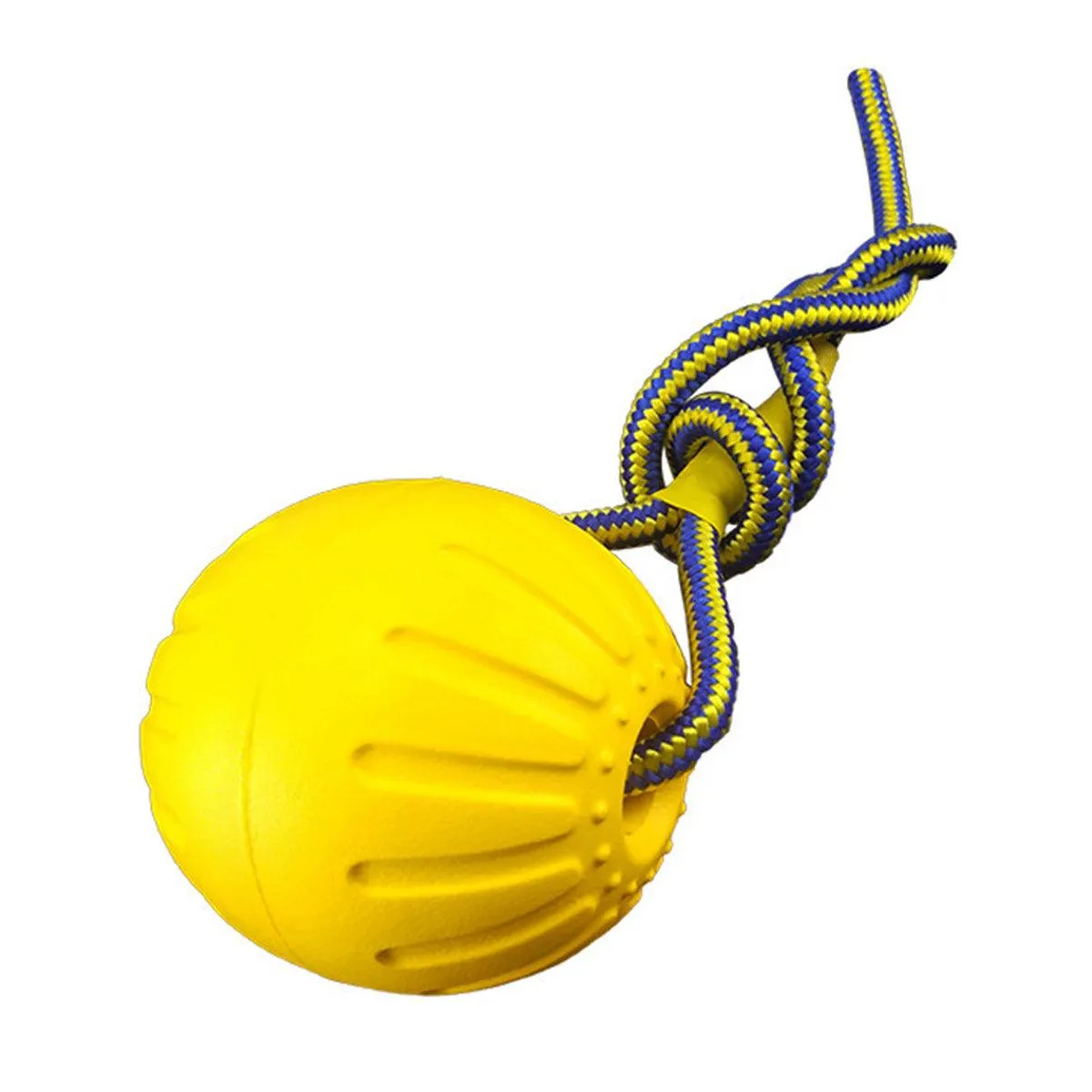 Pet Toys Dog Teething Training Toy Round Pull Ring Chew Ball Durable Play