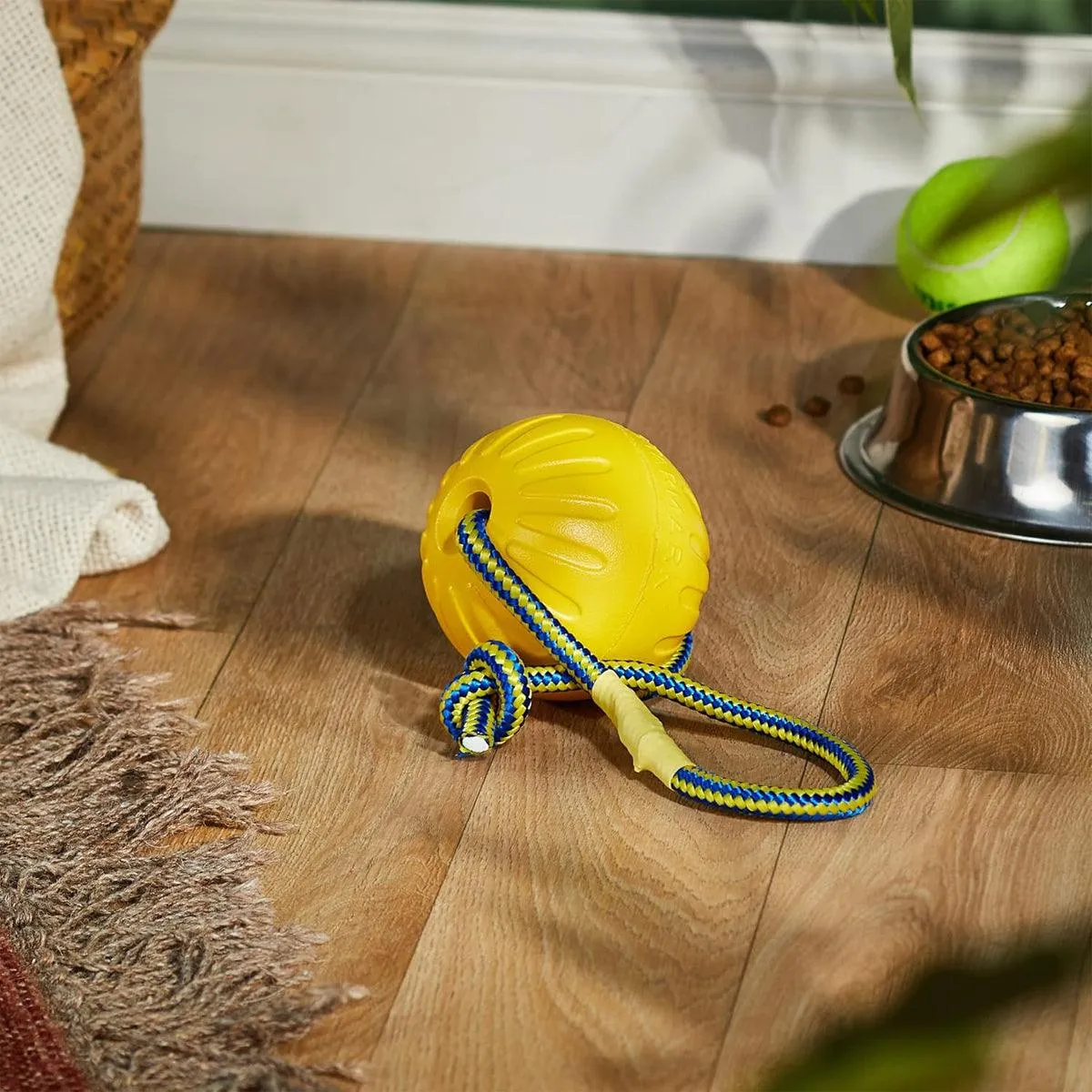 Pet Toys Dog Teething Training Toy Round Pull Ring Chew Ball Durable Play