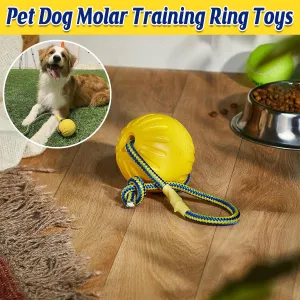 Pet Toys Dog Teething Training Toy Round Pull Ring Chew Ball Durable Play