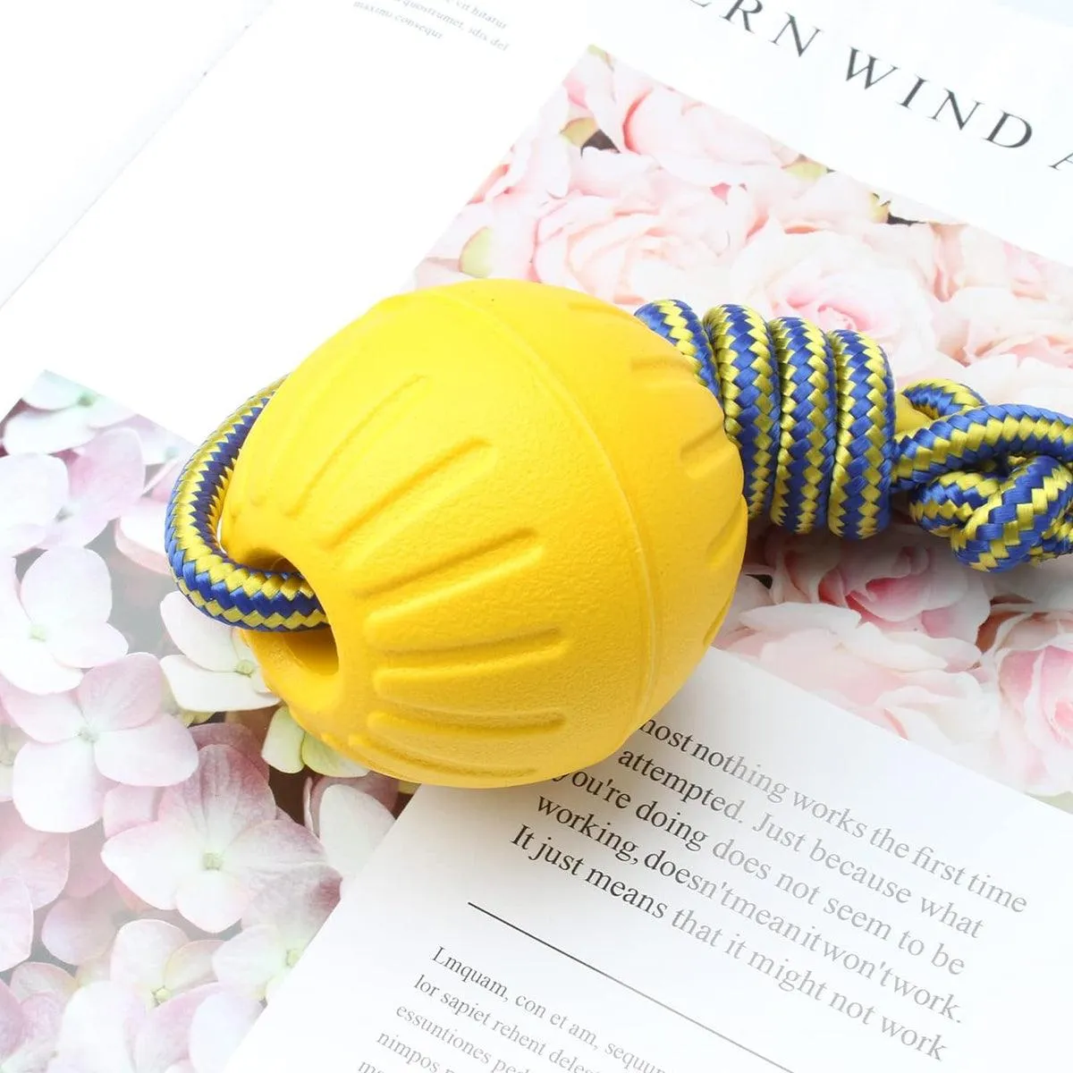 Pet Toys Dog Teething Training Toy Round Pull Ring Chew Ball Durable Play