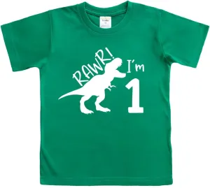 rawr im 1 Dinosaur First Birthday boy Outfit 1st Roar one Year Old Dino Shirt rex