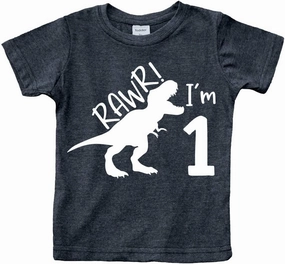 rawr im 1 Dinosaur First Birthday boy Outfit 1st Roar one Year Old Dino Shirt rex