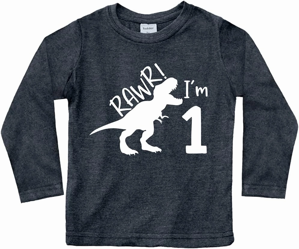 rawr im 1 Dinosaur First Birthday boy Outfit 1st Roar one Year Old Dino Shirt rex