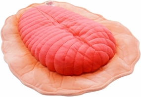 Realistic Dickinsonia Stuffed Animal Plush Toy, Lifelike Animal Plushies, Simulation Dickinsonia Doll