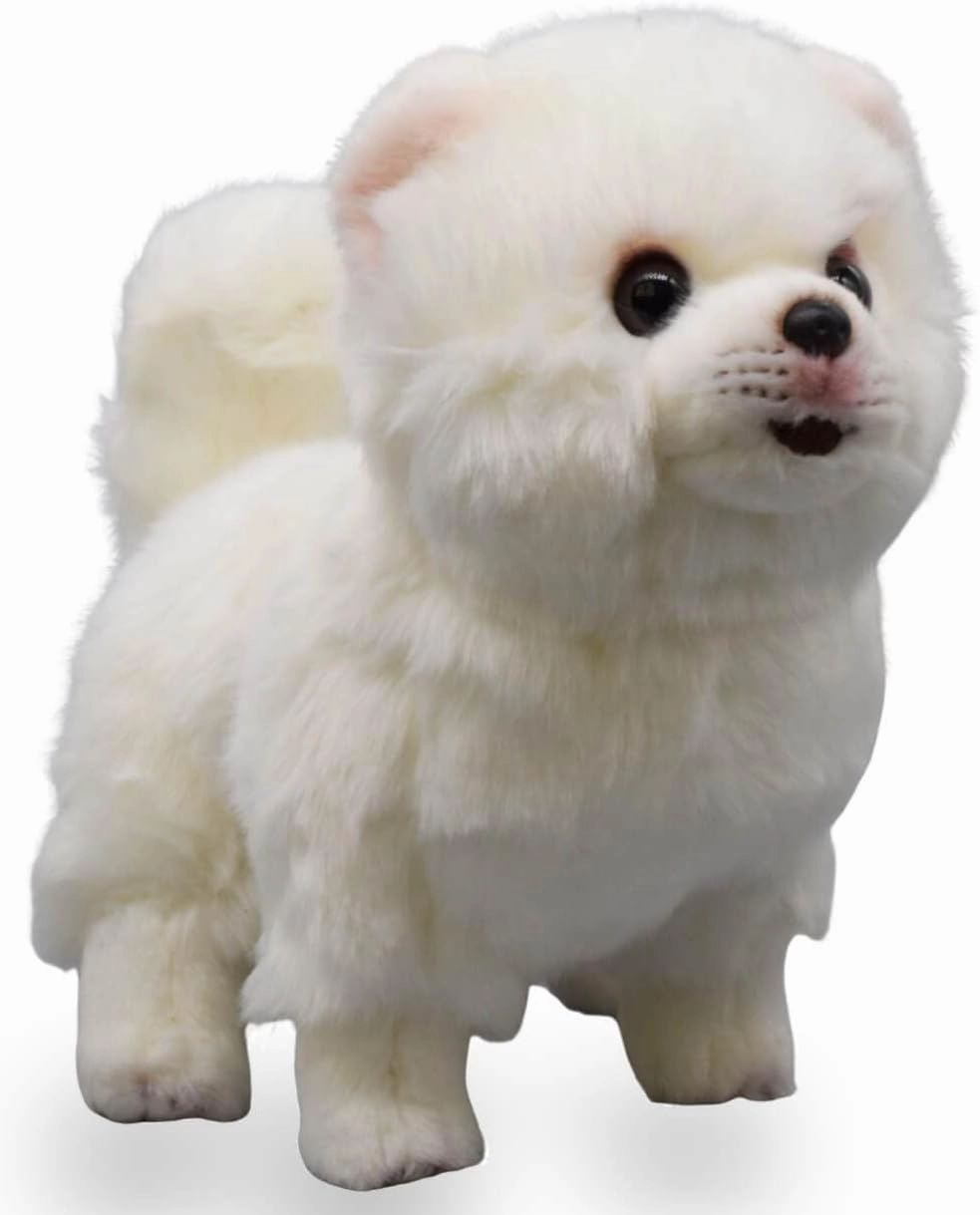 Realistic Pomeranian Dog Stuffed Animal Plush Toy, Lifelike Animal Plushies, Simulation Animals Doll