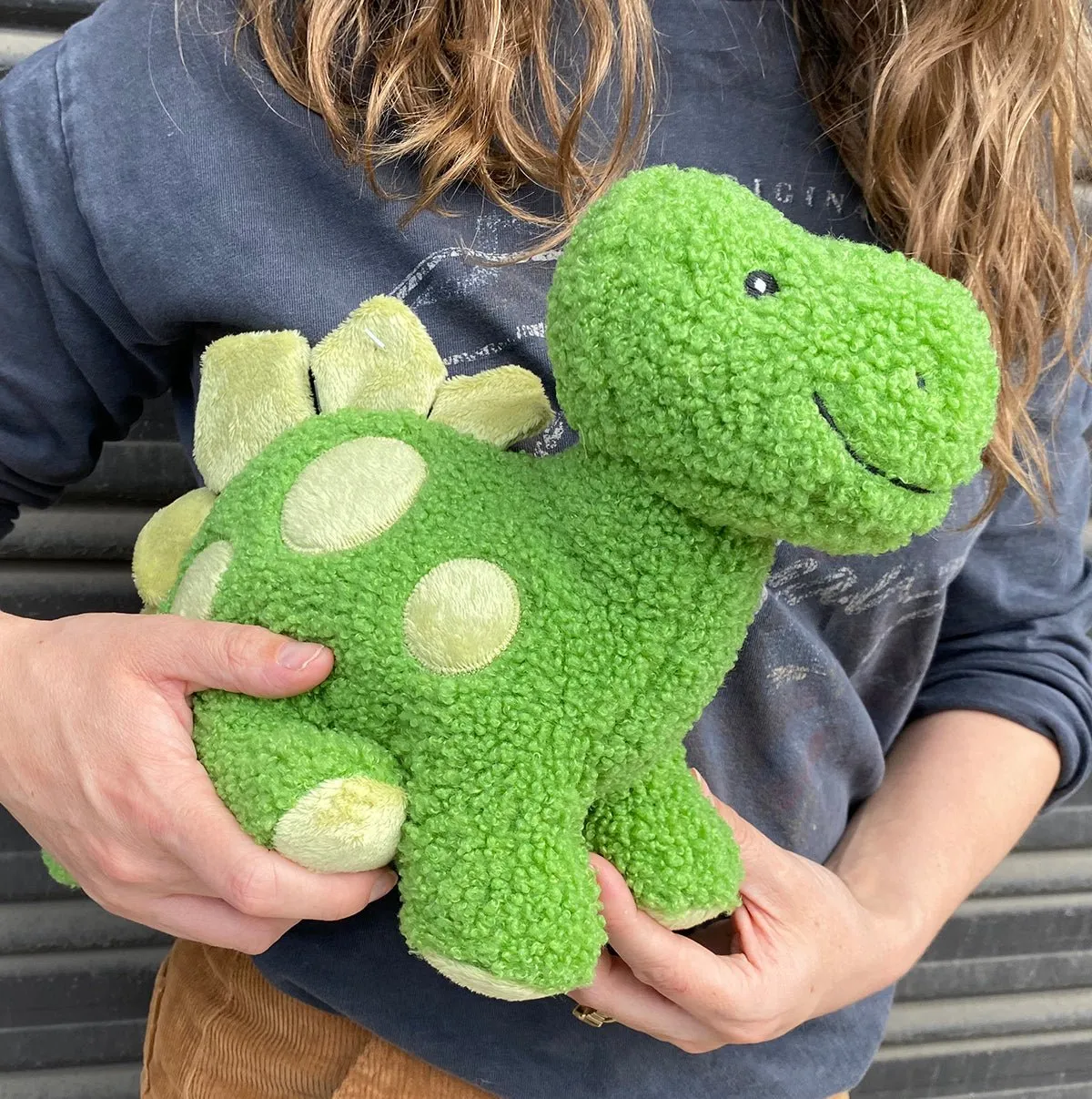 Sadie the Dinosaur