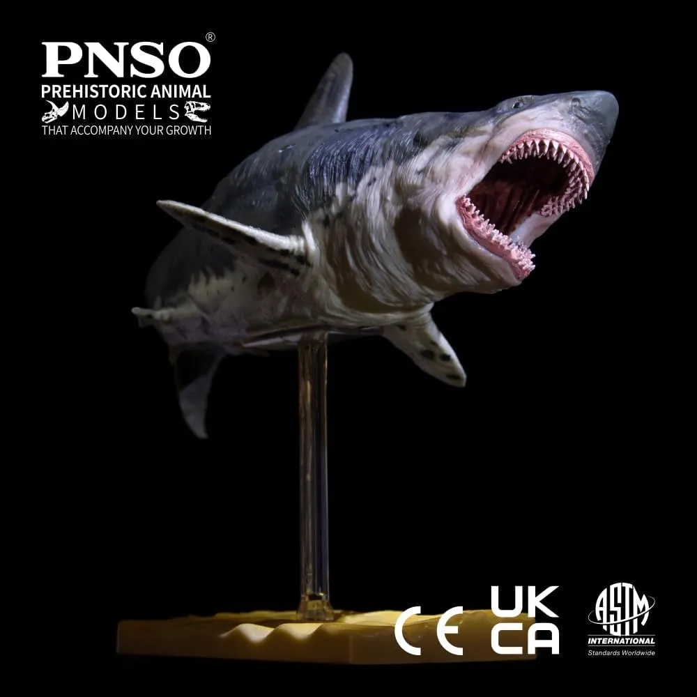 sea Animal (Patton The Megalodon (Big White Shark) 13")