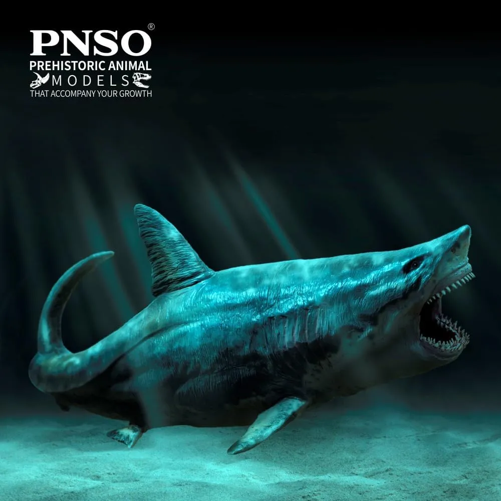 sea Animal (Patton The Megalodon (Big White Shark) 13")