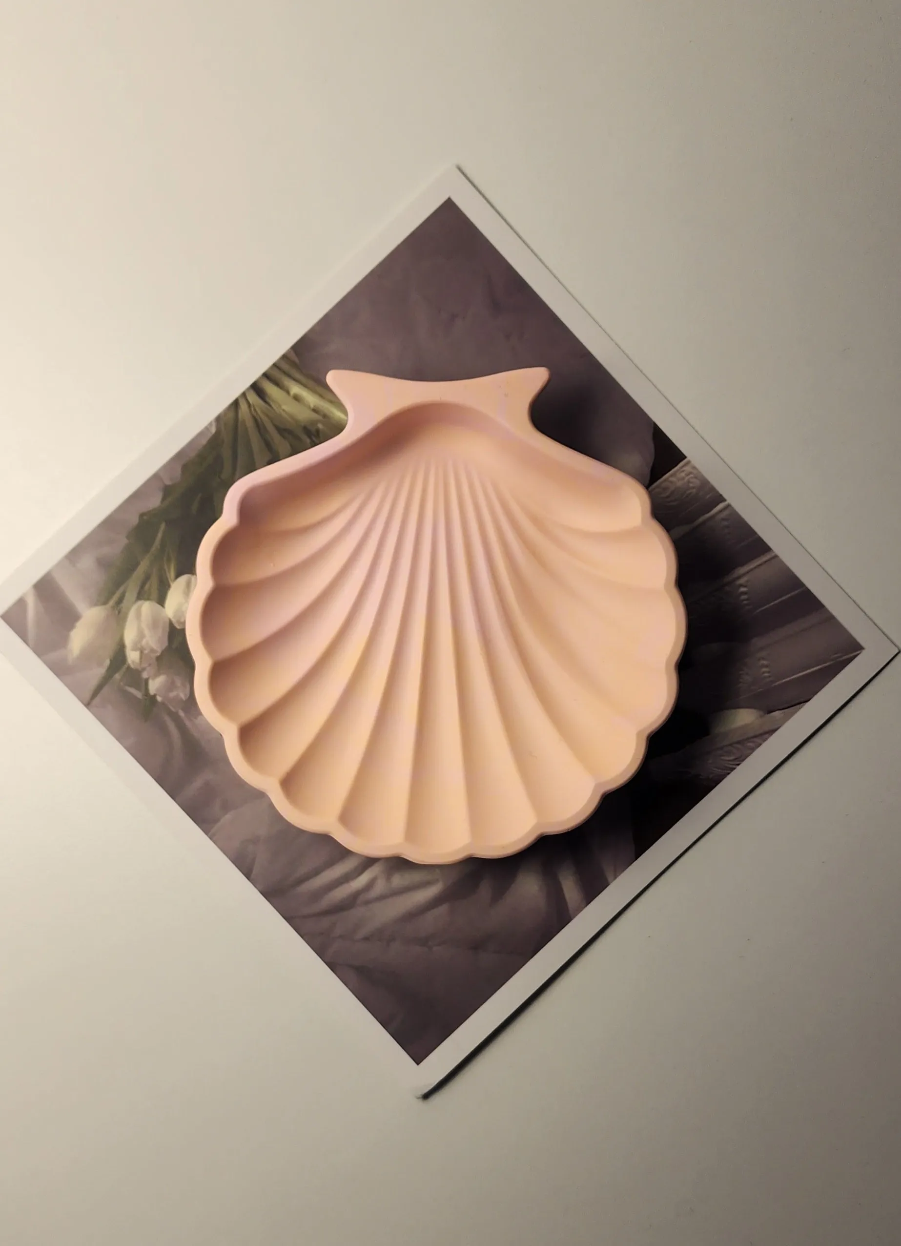 Shell Handmade Object Tray