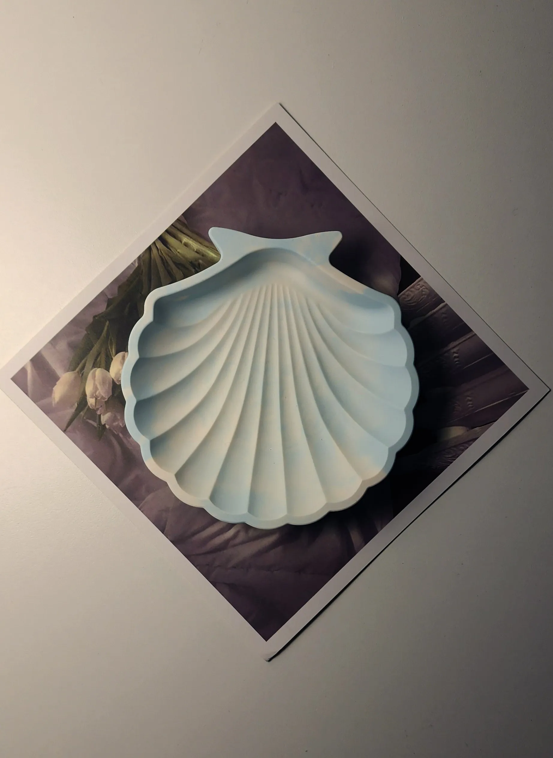 Shell Handmade Object Tray