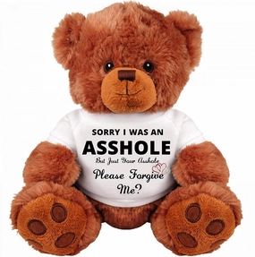 SinMan Sorry Forgive ME? : Apology Gift : Cute and Cuddly : Romantic Funny Teddy Bear Couple Gift : Medium Soft Teddy Bear Stuffed Animal