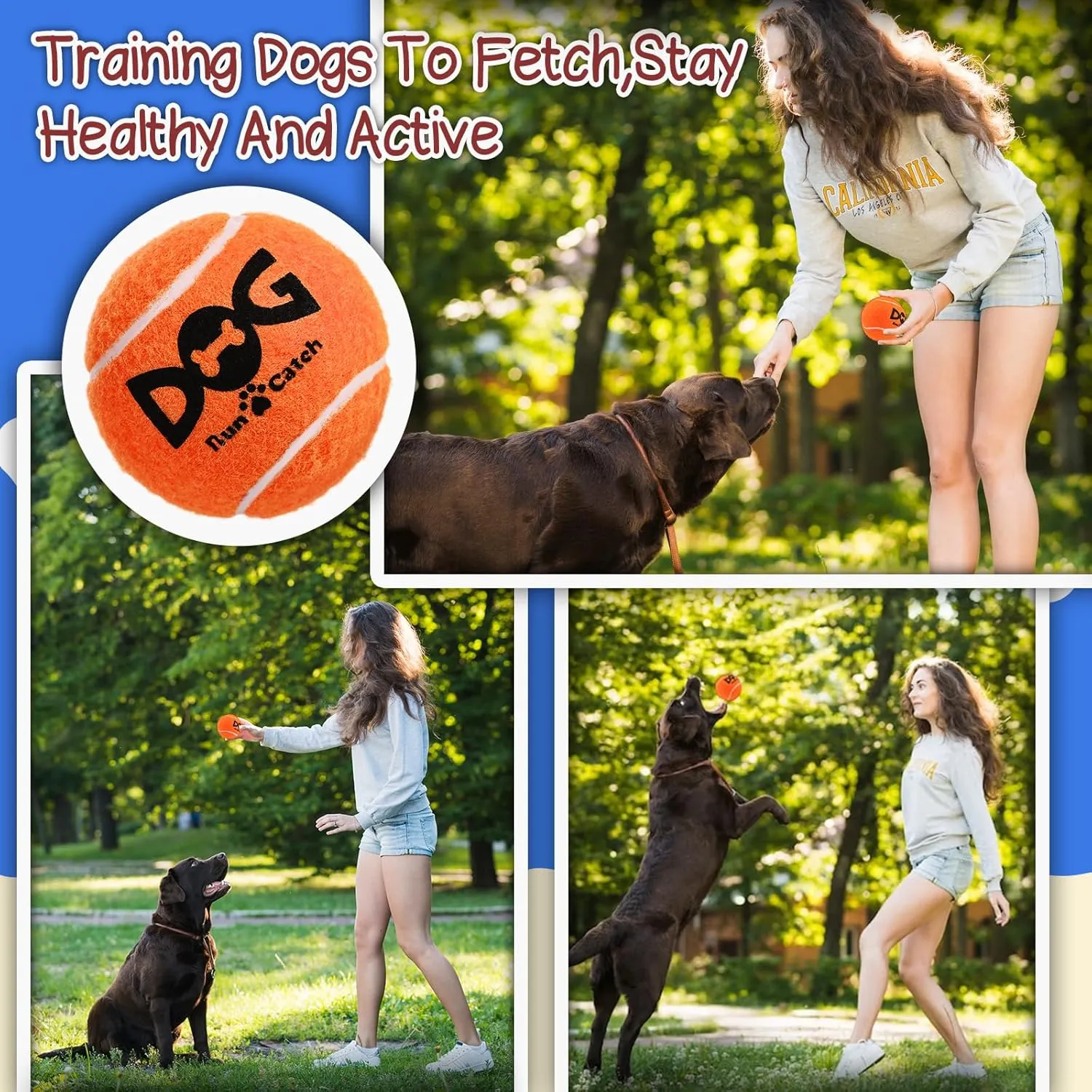Squeaky Tennis Balls for Dogs - 50 Pack 2.5'' Durable Non-Toxic Interactive Dog Toy Balls with Mesh Bag, SGS Certified, Colorful Puppy Chew Toys for Teething, Pet Training Outdoor Play, Medium Breeds