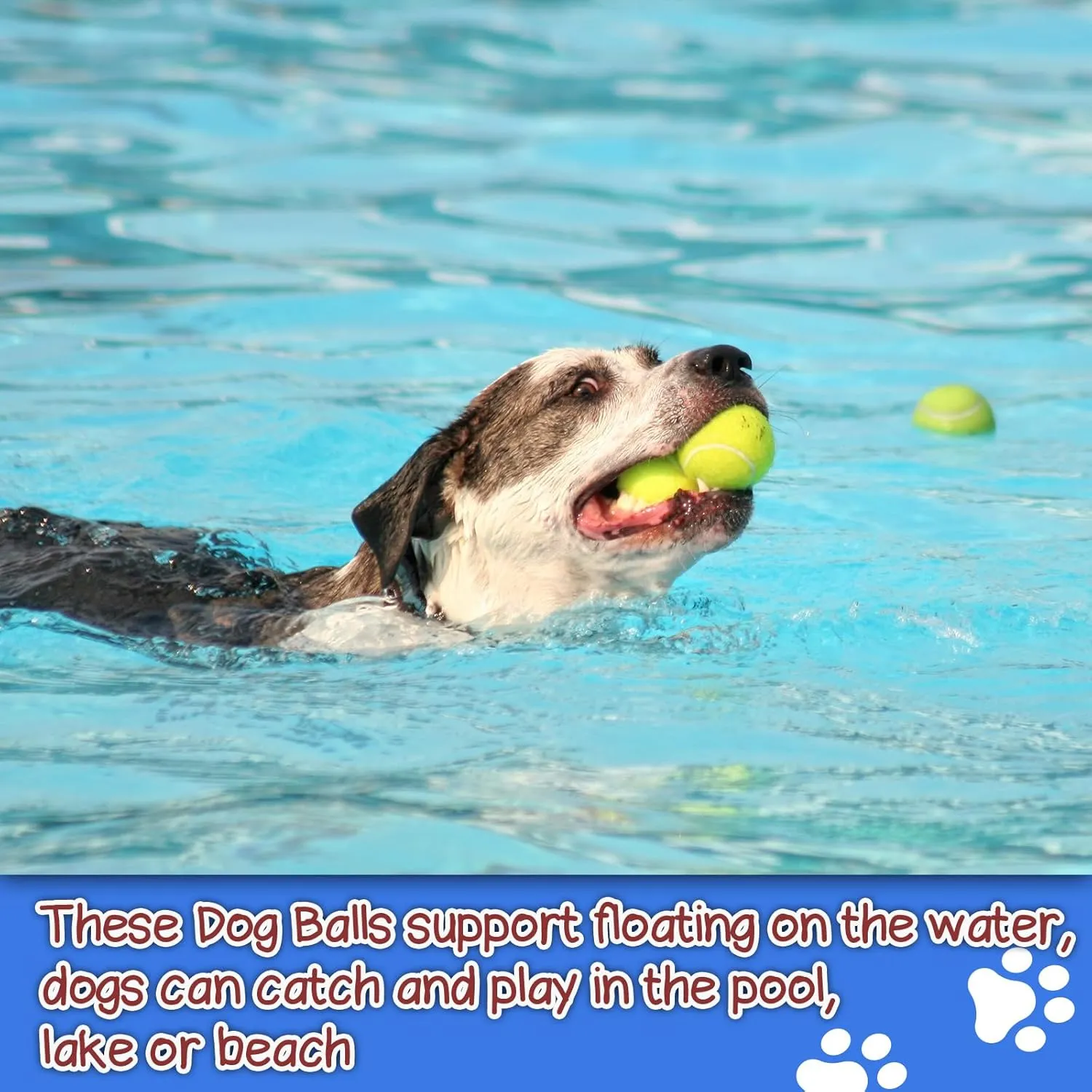 Squeaky Tennis Balls for Dogs - 50 Pack 2.5'' Durable Non-Toxic Interactive Dog Toy Balls with Mesh Bag, SGS Certified, Colorful Puppy Chew Toys for Teething, Pet Training Outdoor Play, Medium Breeds