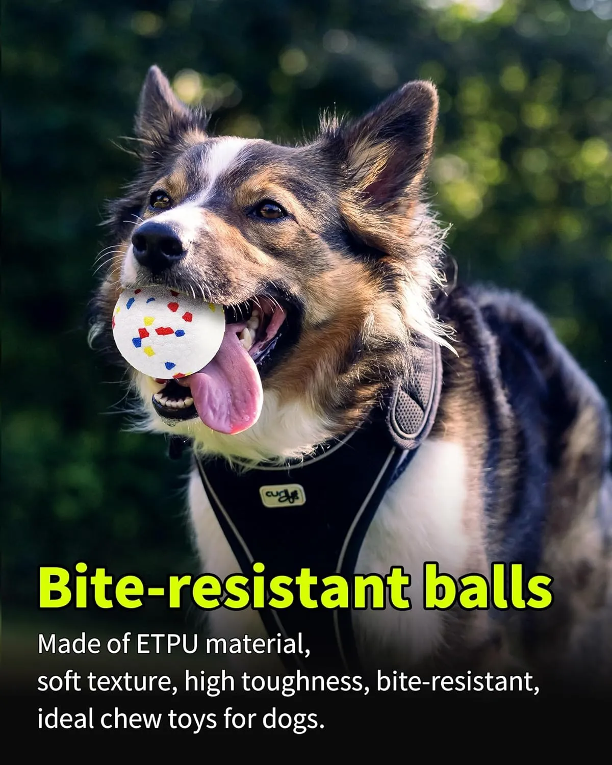 Tennis Balls for Dogs，Interactive Dog Ball，Dog Balls for Aggressive Chewers，Suitable for Large Medium Small Dogs，Puppy Teething Toys，Dogs Ball，Pet Toys，Comes with Organizer Bag