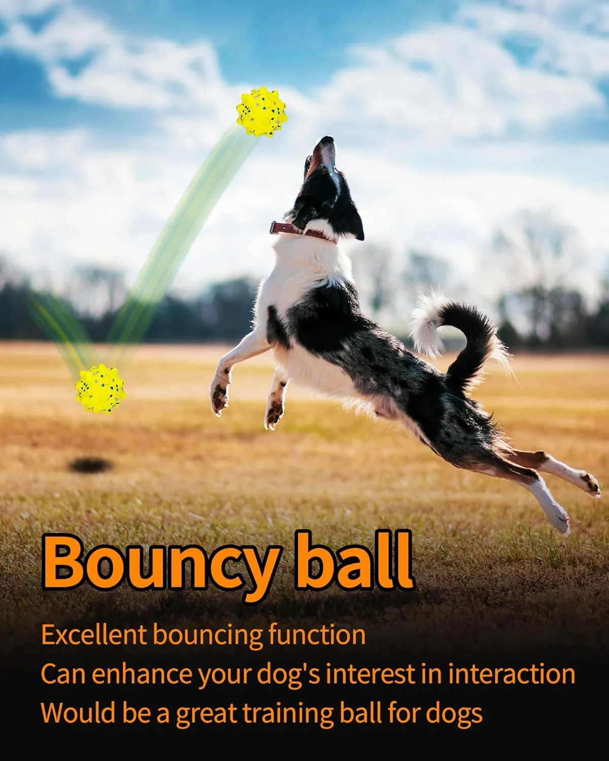 Tennis Balls for Dogs，Interactive Dog Ball，Dog Balls for Aggressive Chewers，Suitable for Large Medium Small Dogs，Puppy Teething Toys，Dogs Ball，Pet Toys，Comes with Organizer Bag