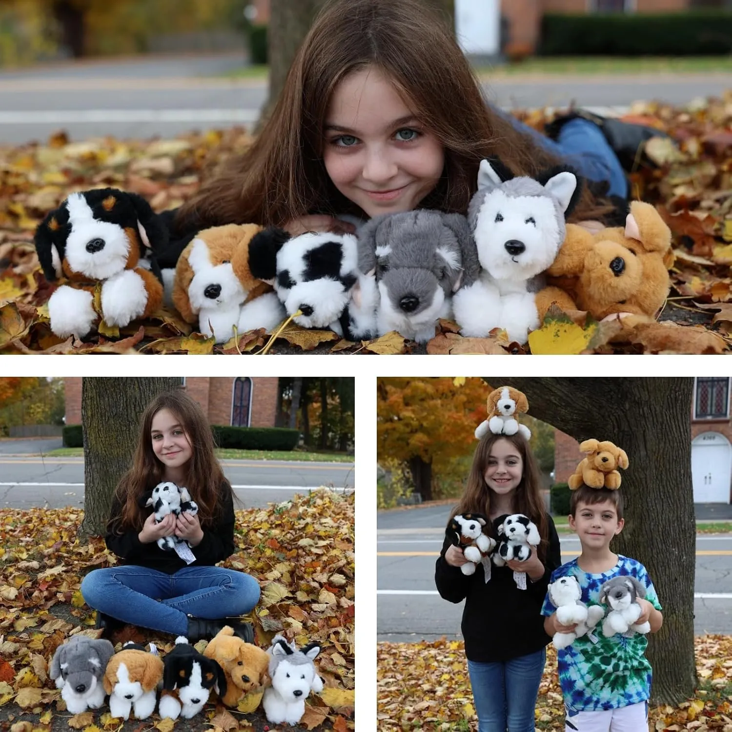 Tezituor 6Pcs Bulk Dog Stuffed Animals, Fluffy Assorted Stuffed Puppy Plush Toys for Kids, 11" Schnauzer,Husky, Bernese, Golden Retriever, Beagle,Spotted Dog Doll Set for Dog Themed Party Favors Gift