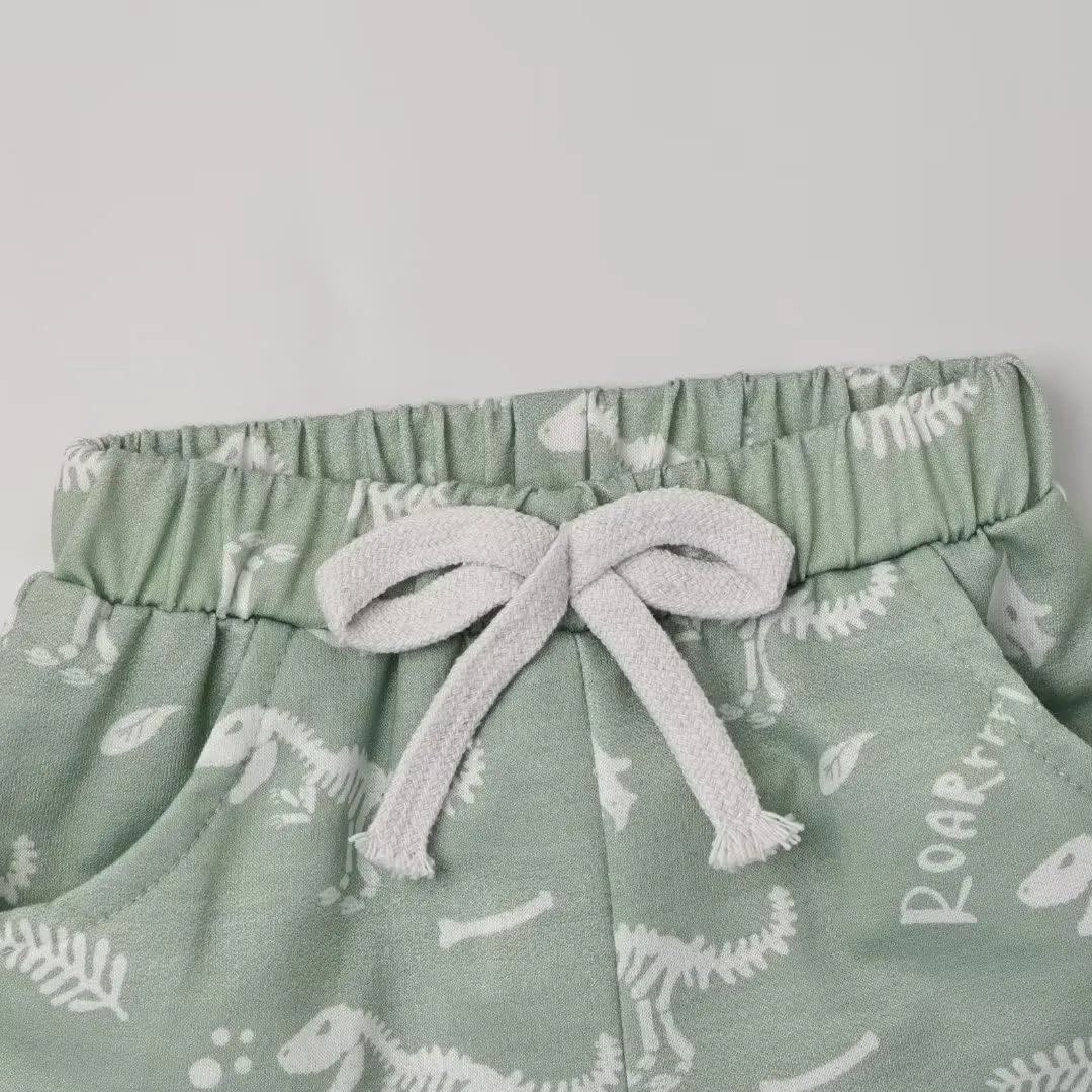 Toddler Baby Boy Clothes Boys Summer Outfits Short Sleeve Dinosaur T-Shirt & Shorts Set 2Pcs